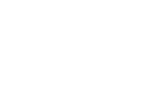 Vets One