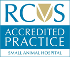 RCVS Small Animal Hospital
