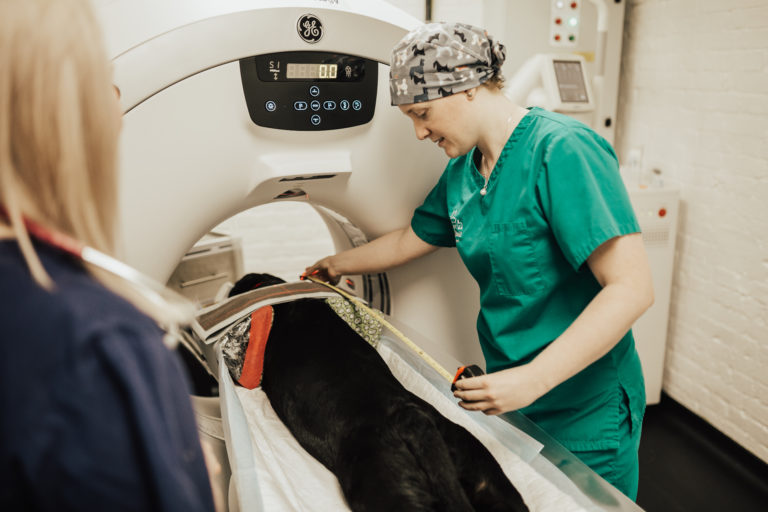 Dr. Katharine Power BVetMed GPAdvCert (SASTS) PgC GPCert (SAS) MRCVS