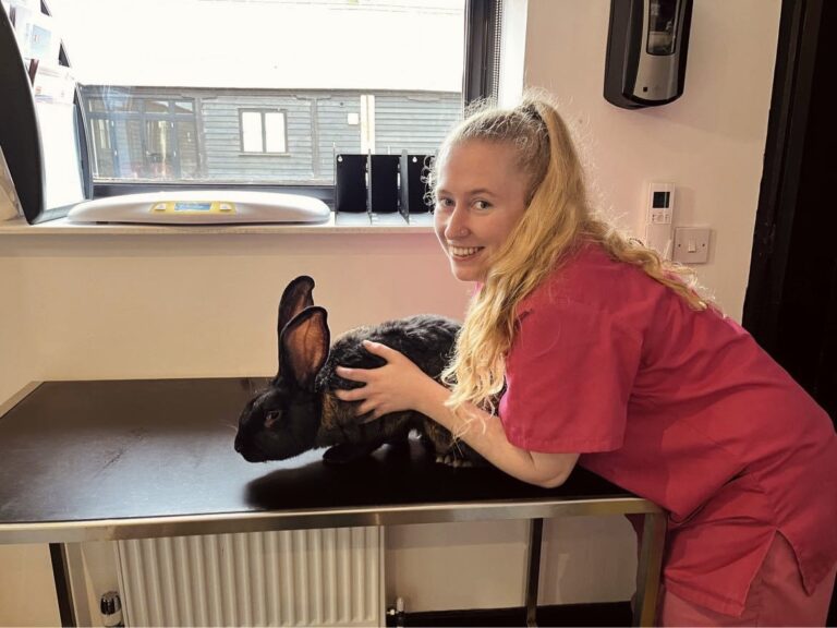 Charlotte Spalding RVN